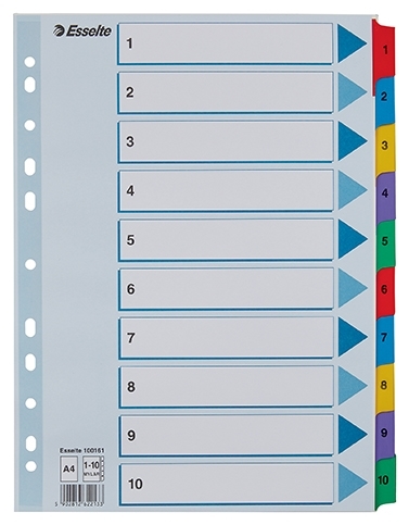 Esselte Registru Mylar carton A4 1-10