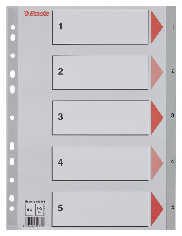 Esselte Registru PP A4 1-5 gri