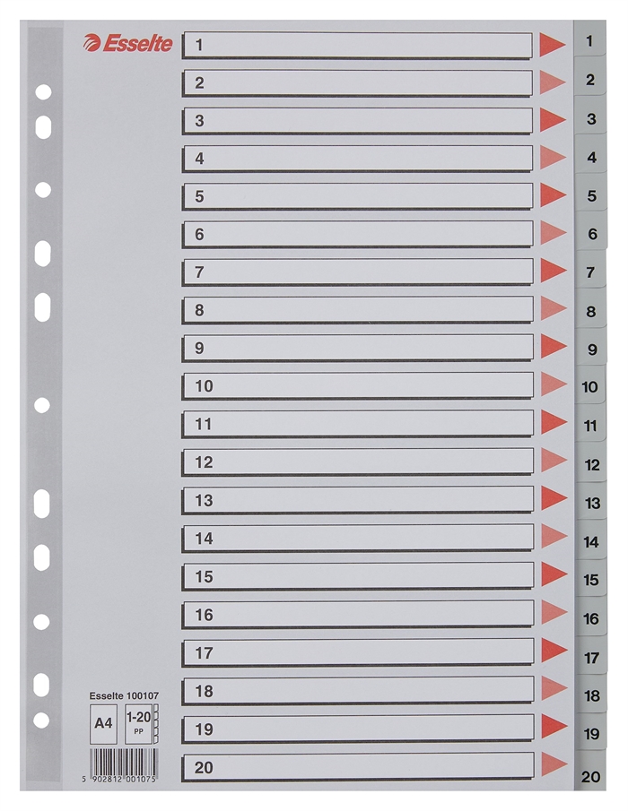 Esselte Registru PP A4 1-20 gri