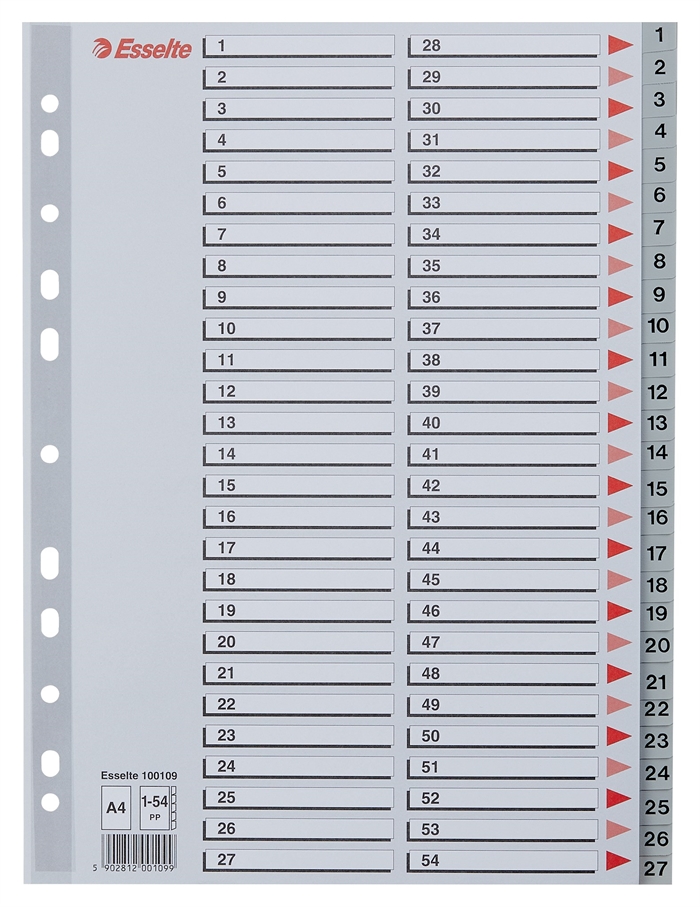 Esselte Registru PP A4 1-54 gri