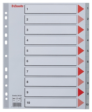 Esselte Registru PP A4 maxi 1-10 gri