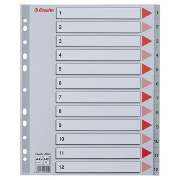 Esselte Registru PP A4 maxi 1-12 gri