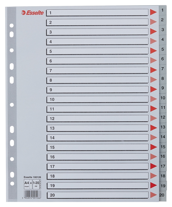 Esselte Registru PP A4 maxi 1-20 gri