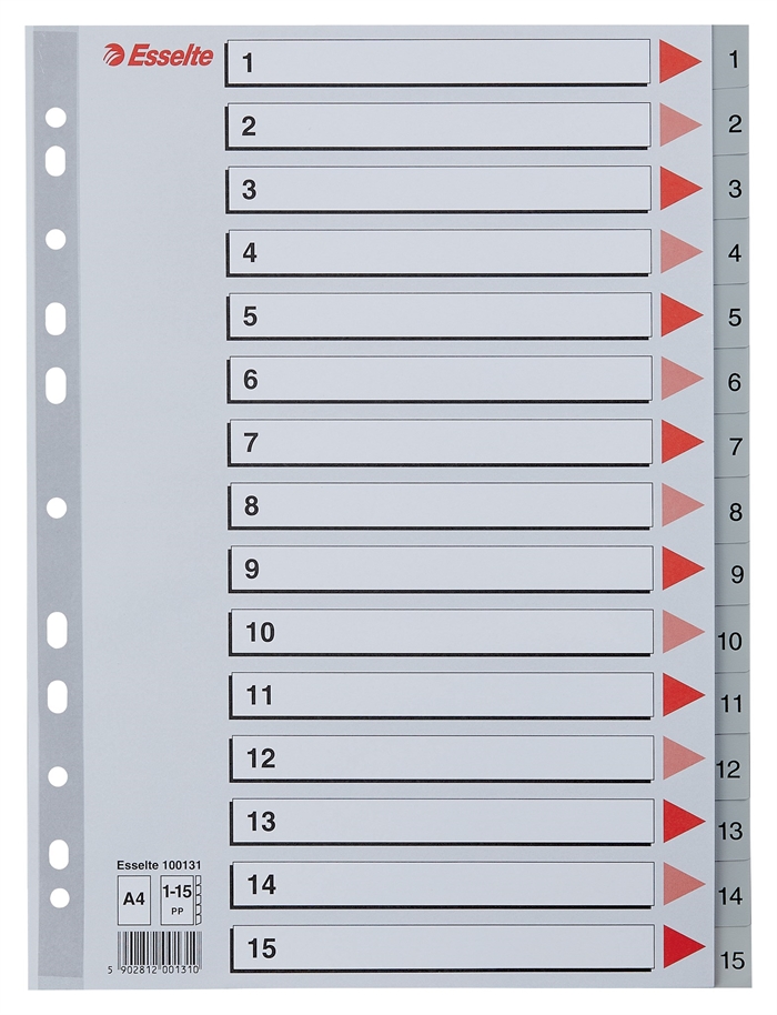 Esselte Registru PP A4 1-15 gri