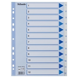 Registru Esselte PP A4 1-12 alb