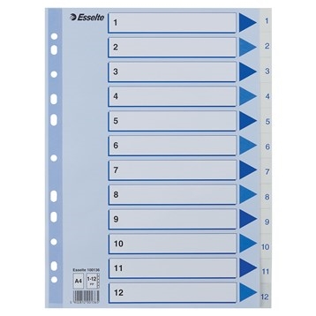 Registru Esselte PP A4 1-12 alb