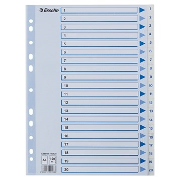 Esselte Registru PP A4 1-20 alb