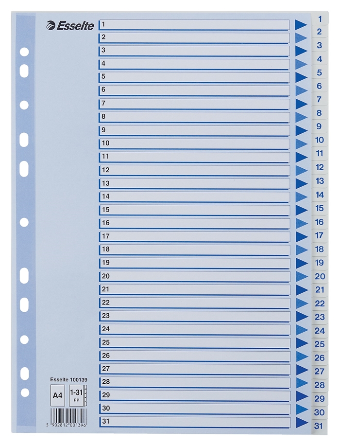 Esselte Registru PP A4 1-31 alb