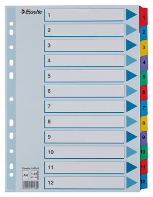 Esselte Registru Mylar carton A4 1-12