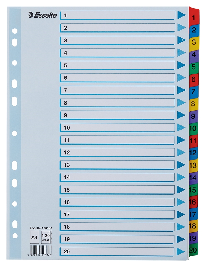 Esselte Registru Mylar carton A4 1-20