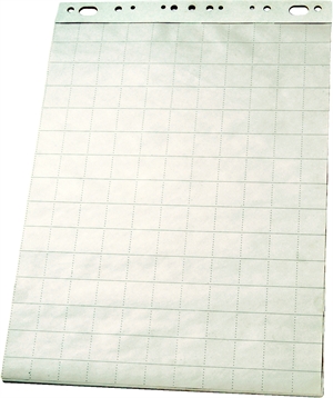 Esselte Bloc Flipchart 50 foi 65x95,5 pătrate 60g